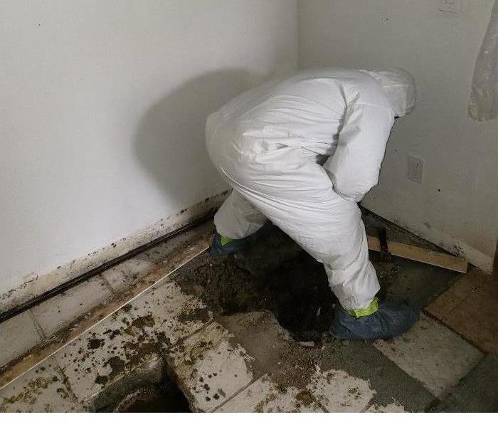 WATER AND MOLD CLEANUP